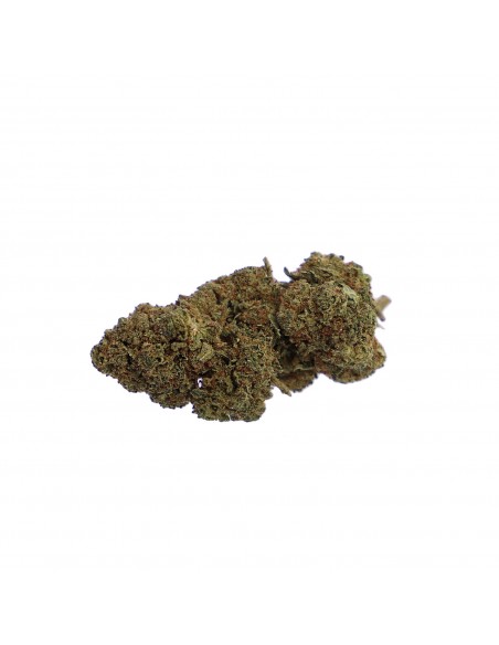 Original Bomb CBD Indoor flower