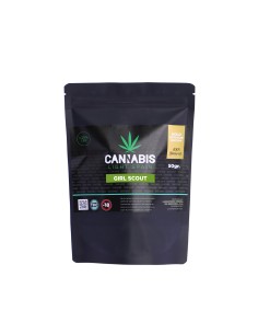 Girl Scout Gold Outdoor Edition 2