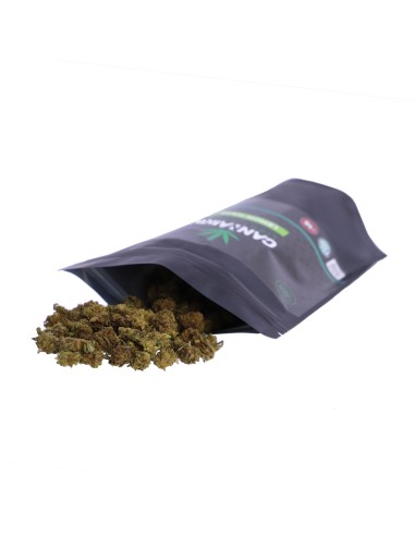 Girl Scout Gold Outdoor Edition