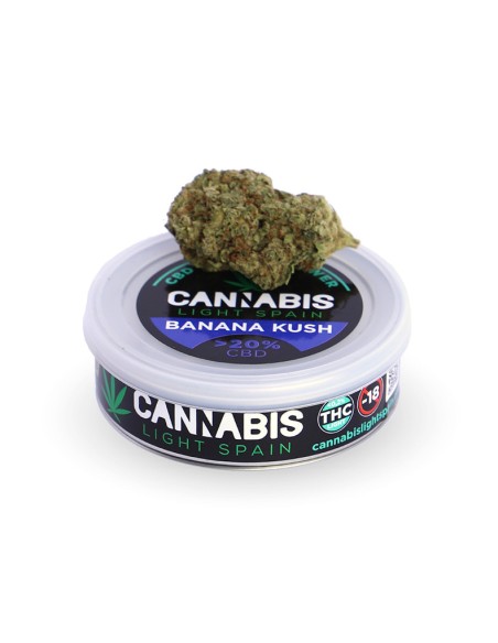 Banana Kush Gold Indoor