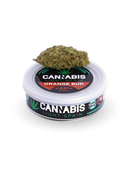 Orange Bud Gold Indoor