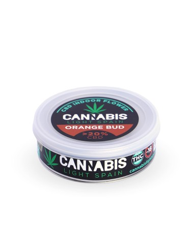 Orange Bud Gold Indoor