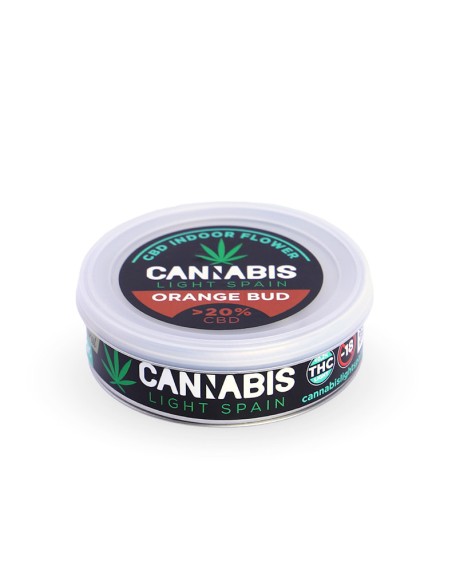 Orange Bud Gold Indoor