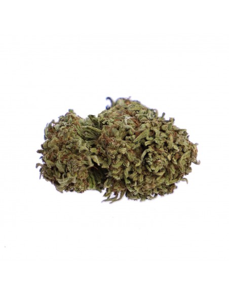 Flor CBD Premium Blue Cheese