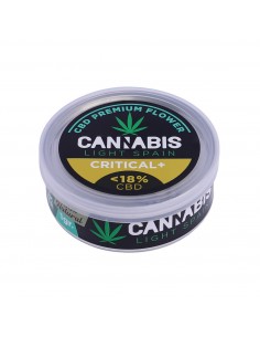 Flor CBD Premium Critical + 2