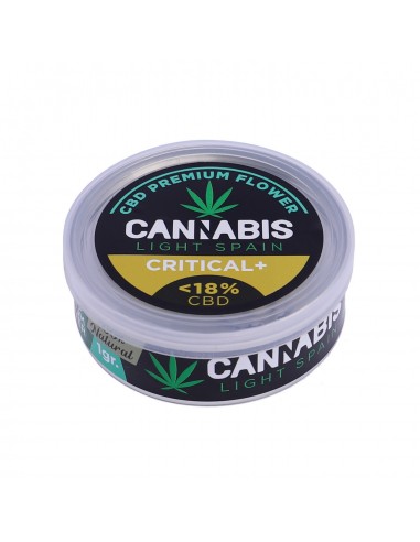 Flor CBD Premium Critical +