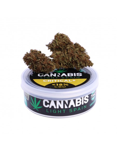 Flor CBD Premium Critical +