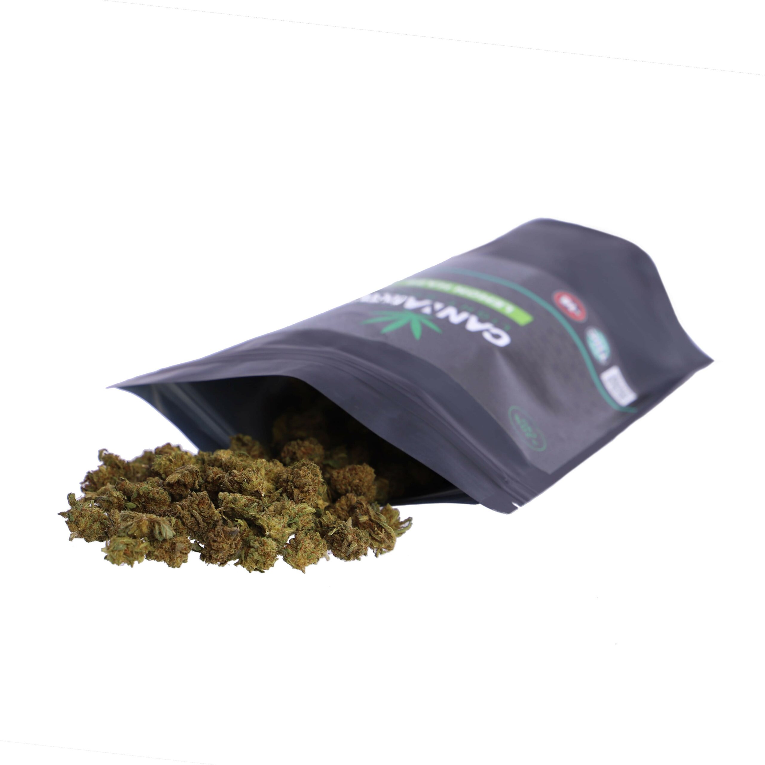 GIRL SCOUT OUTDOOR - Imagen 4