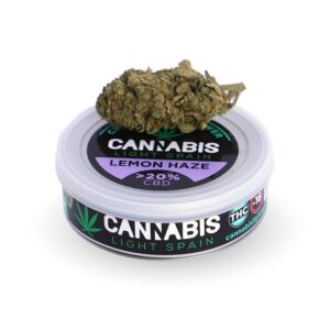 LEMON HAZE HIDROPÓNICA